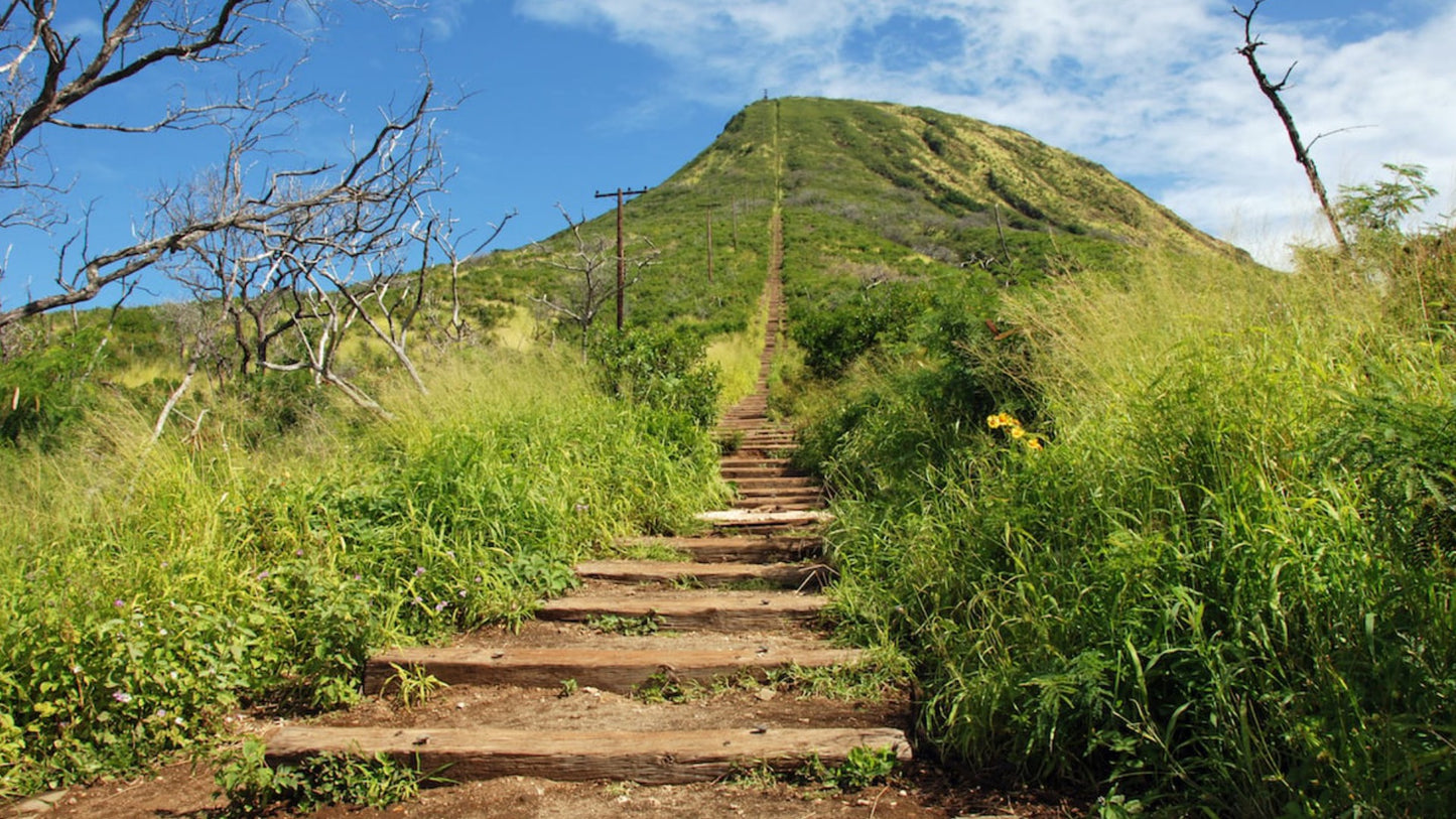 Koko Crater Trail