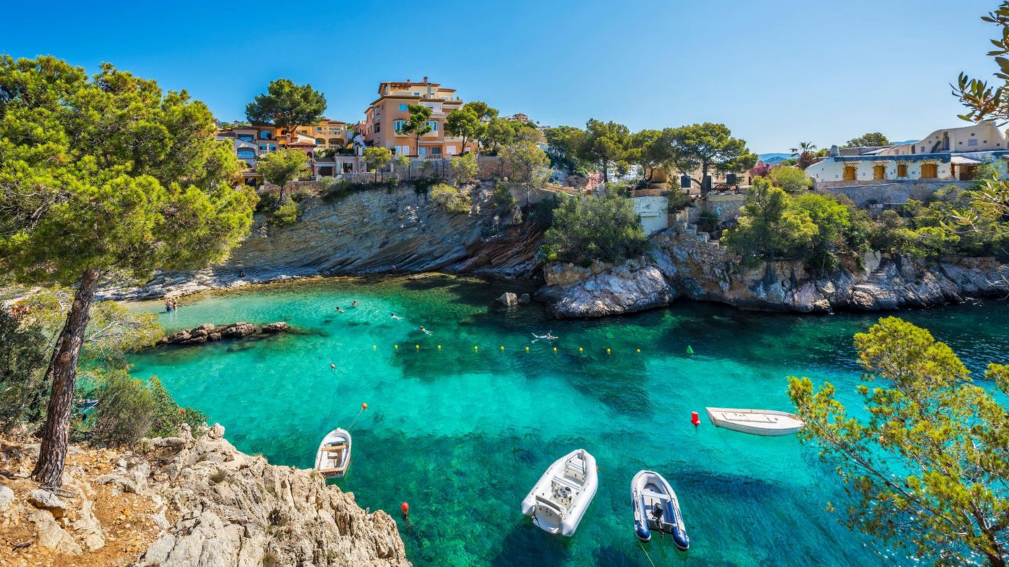 Travel Alone? Share Room and Find Travel Buddy in Mallorca