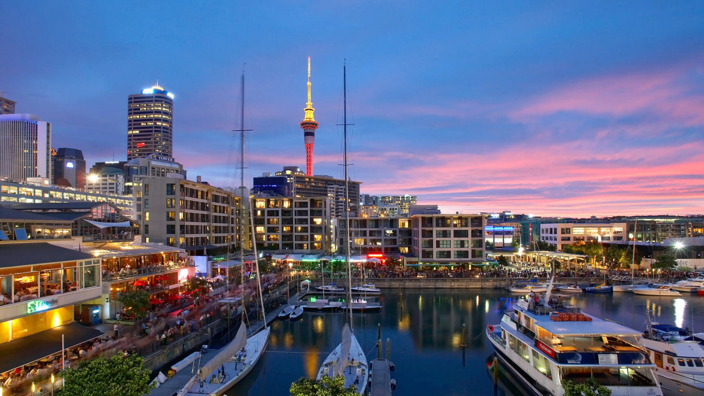 Travel Alone? Share Room and Find Travel Buddy in Auckland