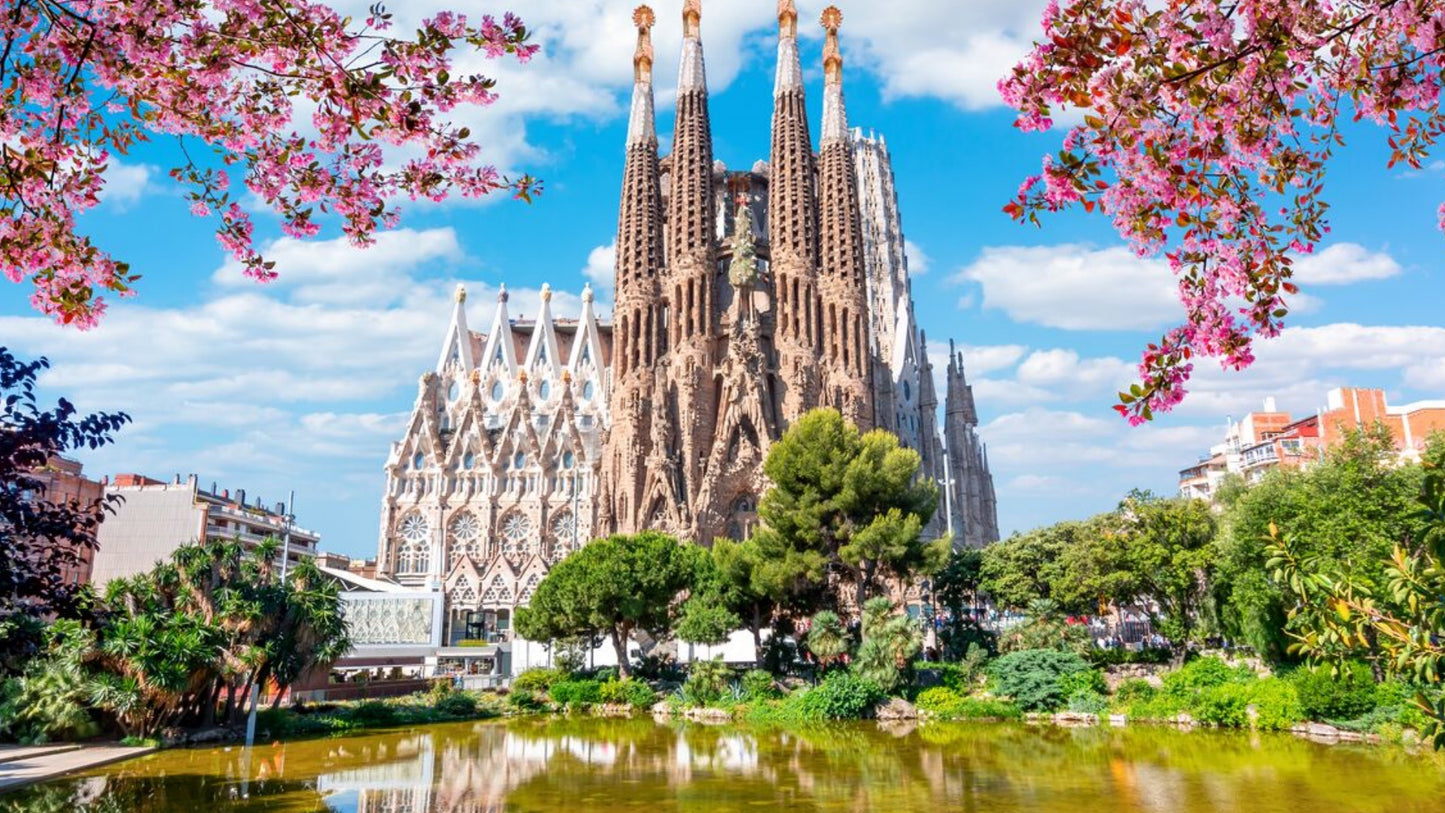 Travel Alone? Share Room and Find Travel Buddy in Barcelona