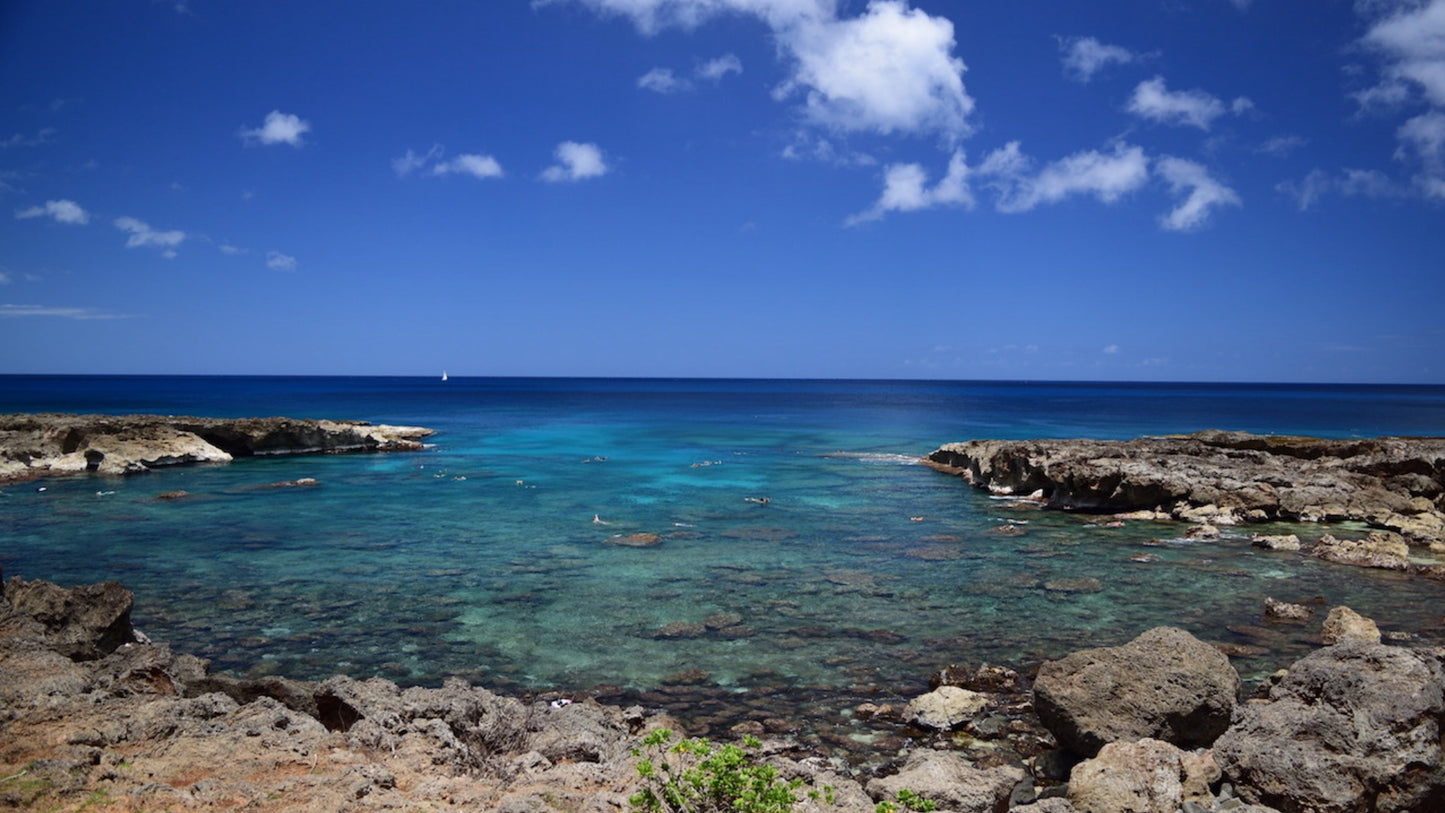Waimea Falls Hiking and Shark Cove Laniakea Beach