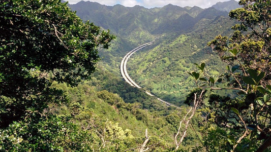 Aiea Loop Trail