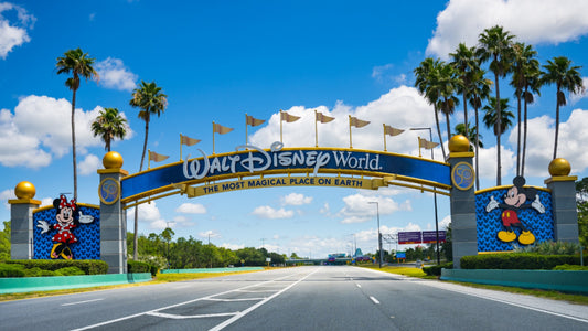 Disney Land