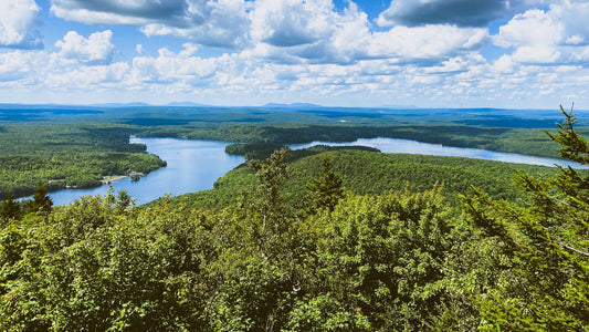 Mont Chauve Trail