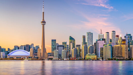 Travel Alone? Share Room and Find Travel Buddy in Toronto