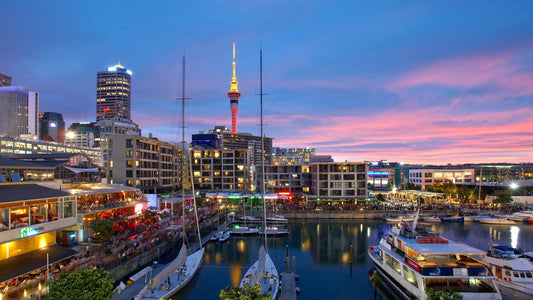 Travel Alone? Share Room and Find Travel Buddy in Auckland