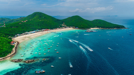 Travel Alone? Share Room and Find Travel Buddy in Pattaya