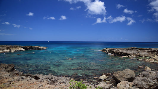Waimea Falls Hiking and Shark Cove Laniakea Beach